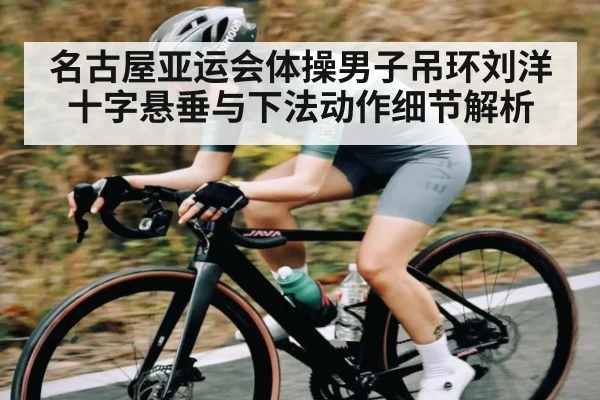 名古屋亚运会体操男子吊环刘洋十字悬垂与下法动作细节解析